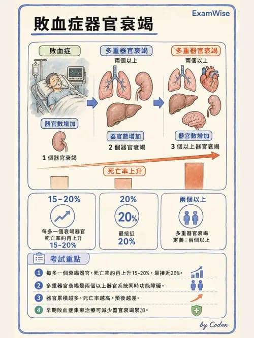 呼吸治療師 - 休克、敗血症與多器官衰竭 - AI 圖文解析預覽
