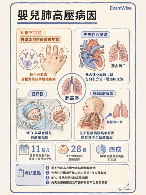 呼吸治療師 - 小兒相關重症 - AI 圖文解析預覽