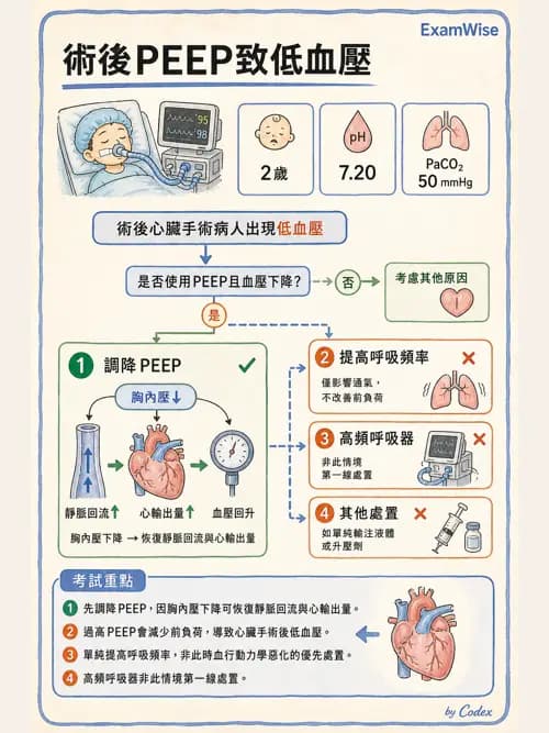 呼吸治療師 - 小兒相關重症 - AI 圖文解析預覽