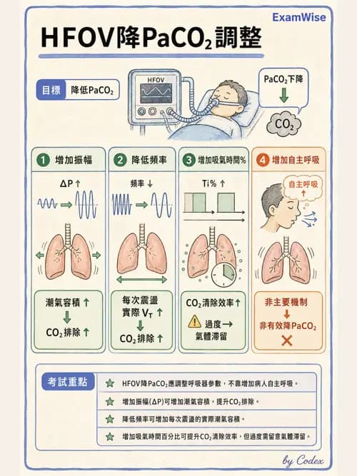 呼吸治療師 - 重症特殊處置 - AI 圖文解析預覽
