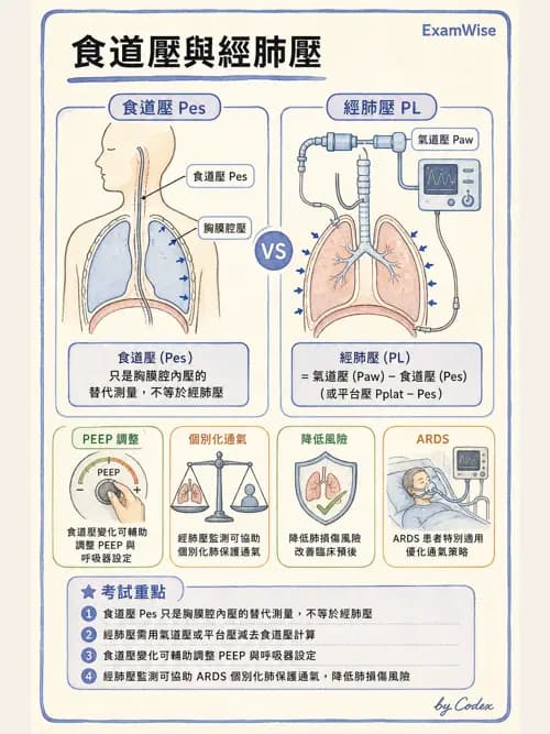 呼吸治療師 - 重症監測與判讀 - AI 圖文解析預覽