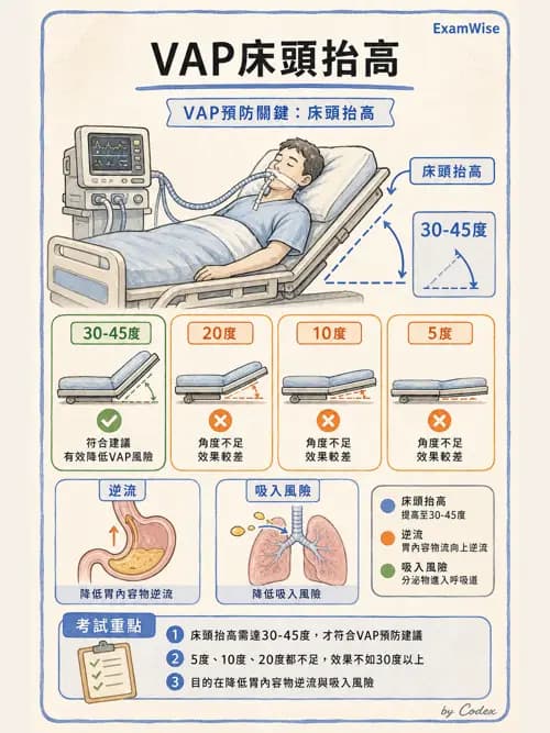 呼吸治療師 - 呼吸器併發症與感染 - AI 圖文解析預覽