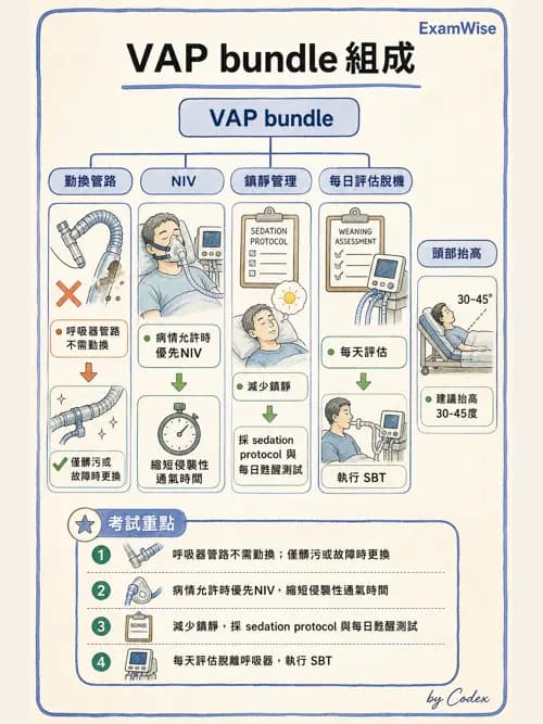 呼吸治療師 - 呼吸器併發症與感染 - AI 圖文解析預覽