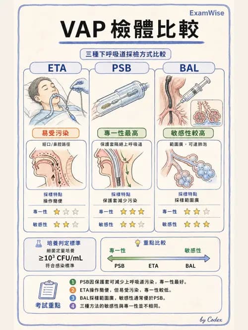 呼吸治療師 - 呼吸器併發症與感染 - AI 圖文解析預覽