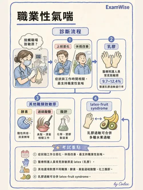 呼吸治療師 - 病人評估與衛教 - AI 圖文解析預覽
