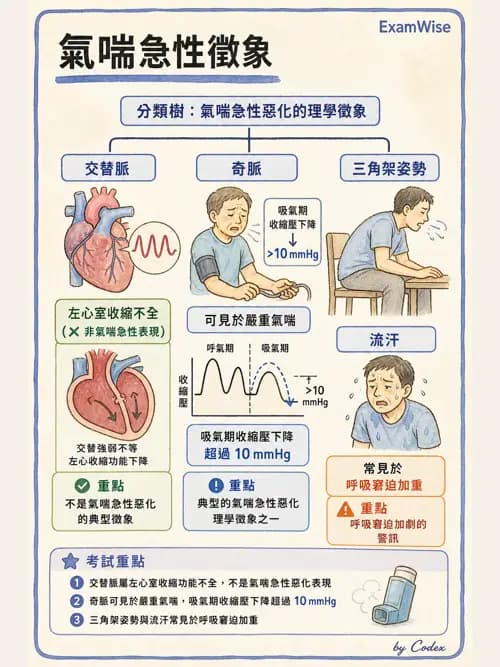 呼吸治療師 - 病人評估與衛教 - AI 圖文解析預覽