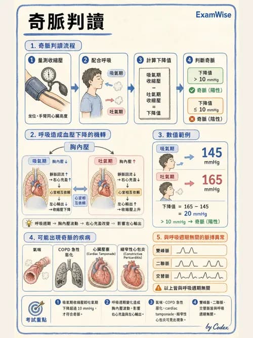 呼吸治療師 - 病人評估與衛教 - AI 圖文解析預覽