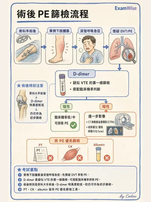 呼吸治療師 - 肺間質病變 - AI 圖文解析預覽