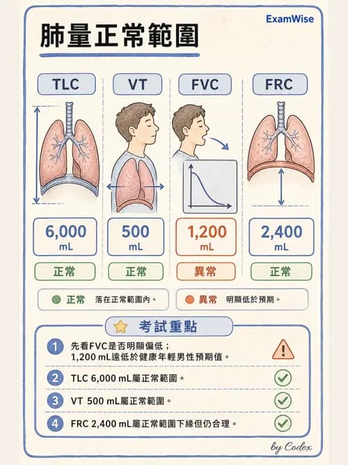 呼吸治療師 - 病人評估與衛教 - AI 圖文解析預覽
