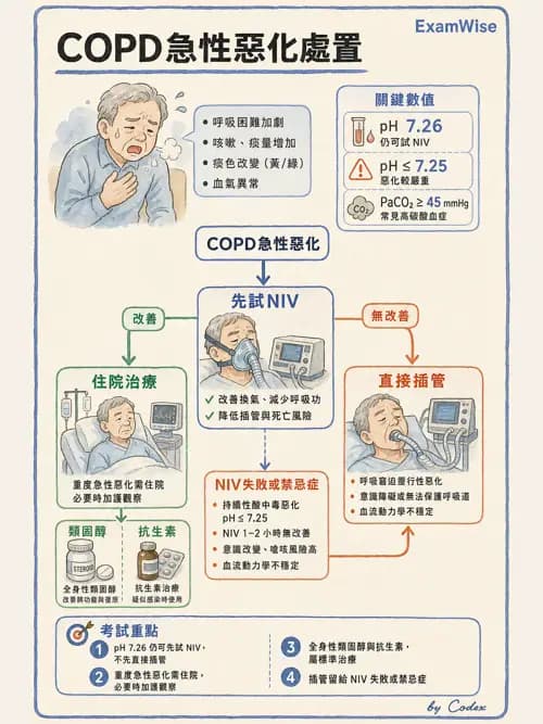 呼吸治療師 - 慢性氣道疾病 - AI 圖文解析預覽