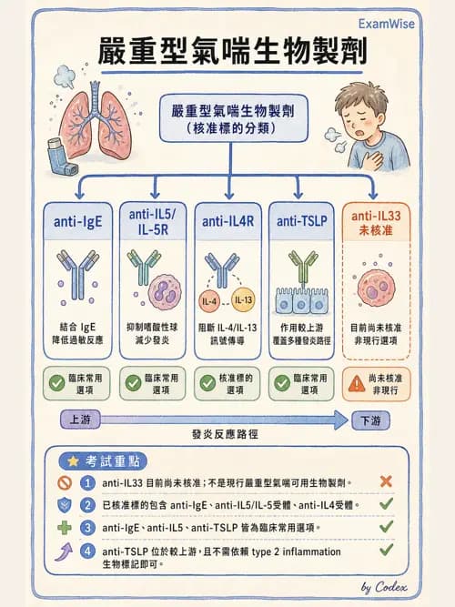 呼吸治療師 - 慢性氣道疾病 - AI 圖文解析預覽