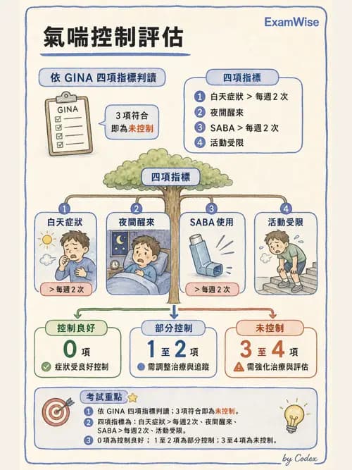 呼吸治療師 - 慢性氣道疾病 - AI 圖文解析預覽