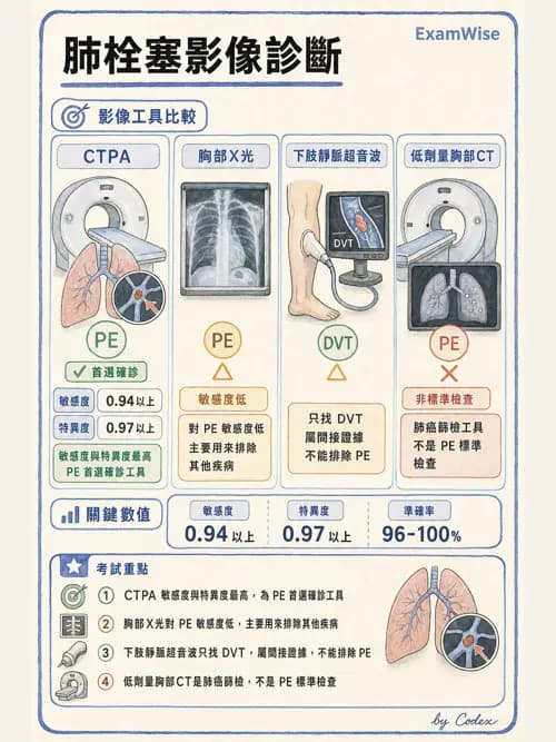 呼吸治療師 - 肺間質病變 - AI 圖文解析預覽