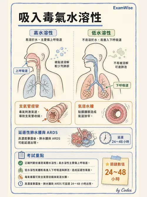 呼吸治療師 - 外力傷害與胸廓病變 - AI 圖文解析預覽