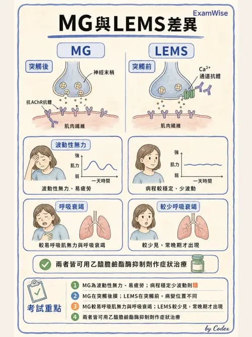 呼吸治療師 - 神經肌肉病變與腫瘤 - AI 圖文解析預覽