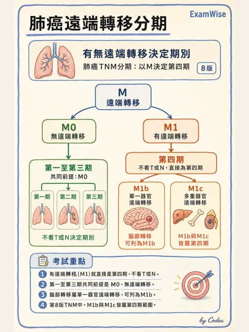 呼吸治療師 - 神經肌肉病變與腫瘤 - AI 圖文解析預覽