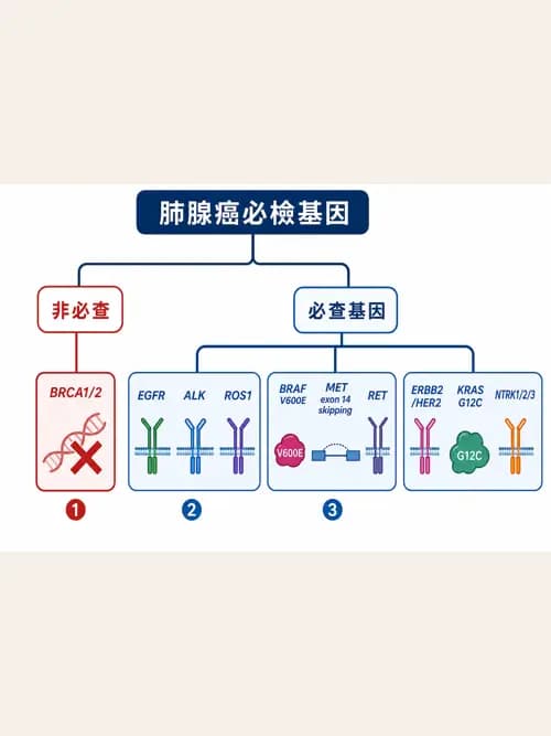 呼吸治療師 - 神經肌肉病變與腫瘤 - AI 圖文解析預覽