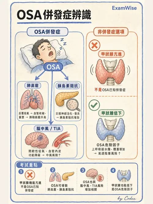 呼吸治療師 - 睡眠相關呼吸障礙 - AI 圖文解析預覽