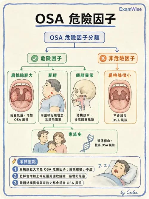 呼吸治療師 - 睡眠相關呼吸障礙 - AI 圖文解析預覽