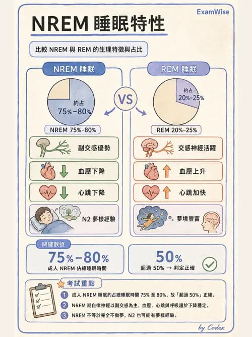 呼吸治療師 - 睡眠相關呼吸障礙 - AI 圖文解析預覽