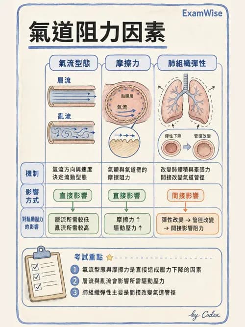 呼吸治療師 - 通氣、呼吸力學與控制 - AI 圖文解析預覽