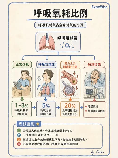 呼吸治療師 - 通氣、呼吸力學與控制 - AI 圖文解析預覽
