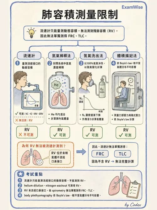 呼吸治療師 - 通氣、呼吸力學與控制 - AI 圖文解析預覽