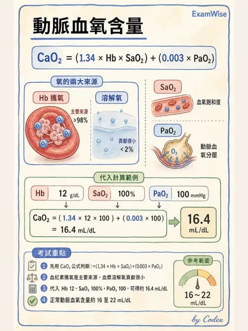 呼吸治療師 - 氣體擴散、交換與肺部代謝 - AI 圖文解析預覽