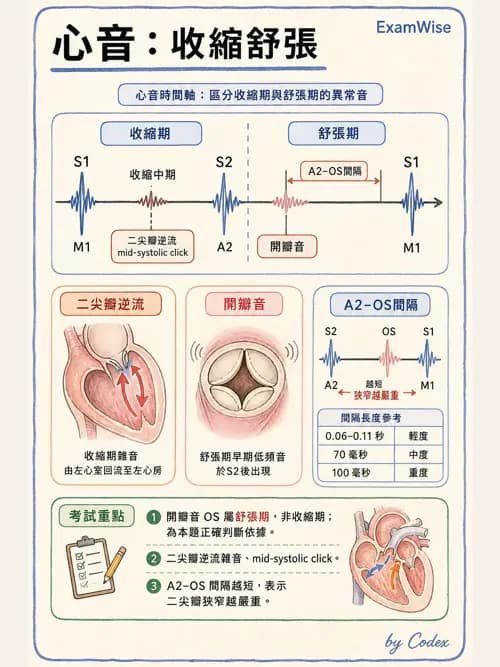 呼吸治療師 - 心臟生理與血液動力學 - AI 圖文解析預覽