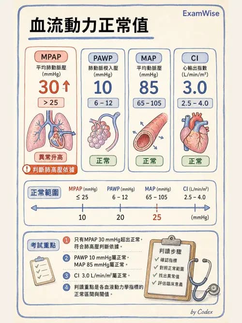 呼吸治療師 - 心臟生理與血液動力學 - AI 圖文解析預覽
