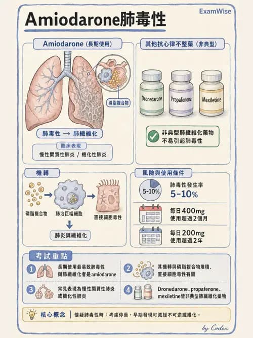 呼吸治療師 - 心臟血管藥物 - AI 圖文解析預覽