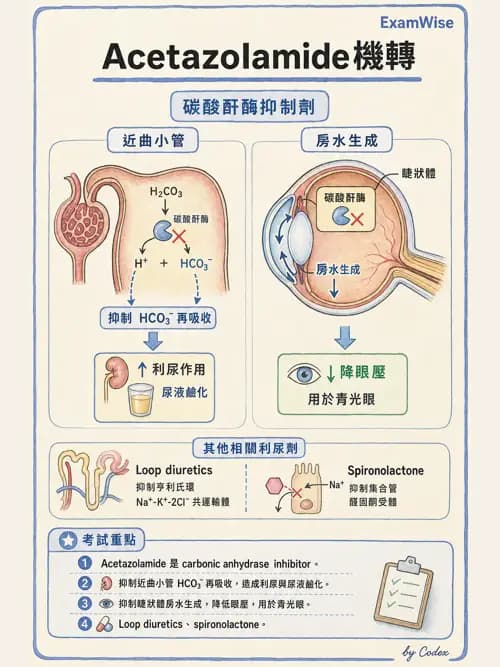 呼吸治療師 - 心臟血管藥物 - AI 圖文解析預覽