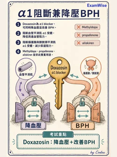 呼吸治療師 - 神經系統藥物 - AI 圖文解析預覽