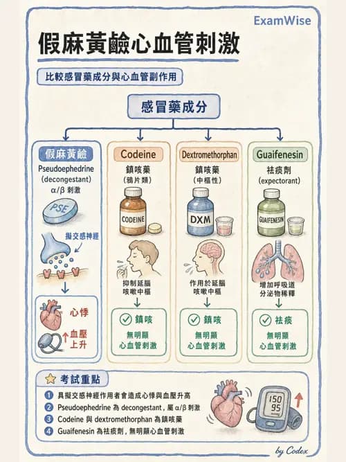 呼吸治療師 - 呼吸系統藥物 - AI 圖文解析預覽