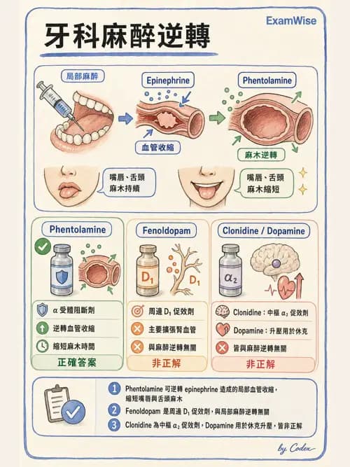 呼吸治療師 - 神經系統藥物 - AI 圖文解析預覽
