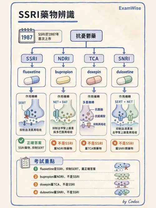 呼吸治療師 - 神經系統藥物 - AI 圖文解析預覽