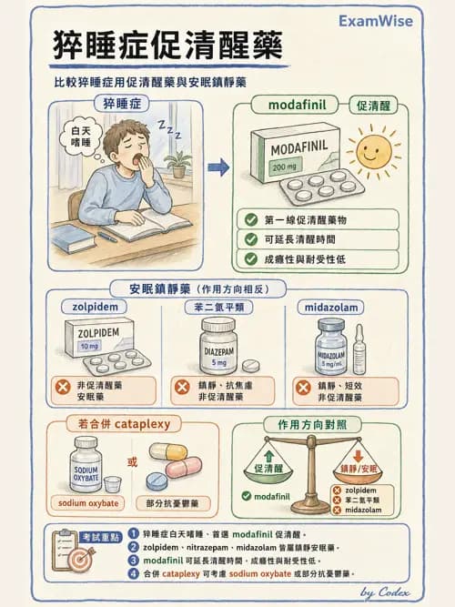 呼吸治療師 - 神經系統藥物 - AI 圖文解析預覽