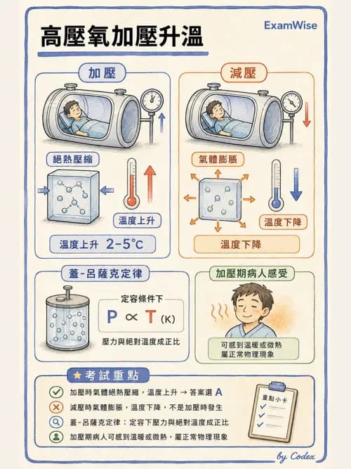 呼吸治療師 - 高壓氧治療 - AI 圖文解析預覽