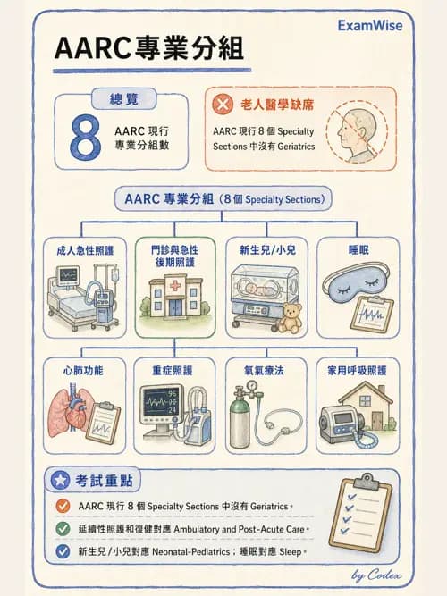呼吸治療師 - 呼吸治療演進與角色 - AI 圖文解析預覽