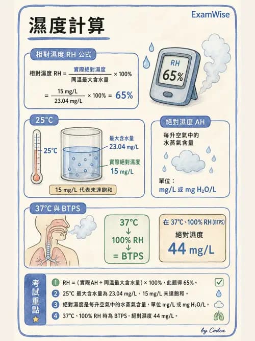 呼吸治療師 - 濕氣與霧氣治療 - AI 圖文解析預覽