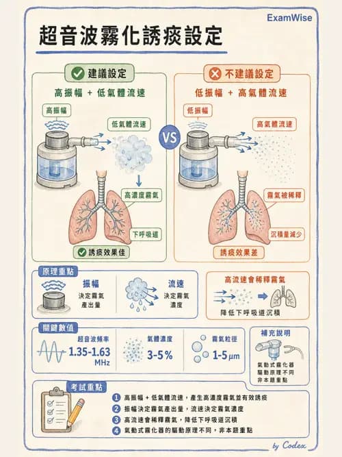 呼吸治療師 - 濕氣與霧氣治療 - AI 圖文解析預覽