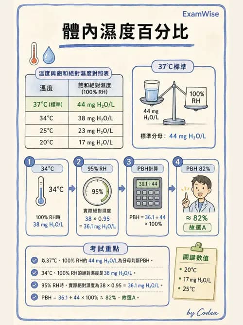 呼吸治療師 - 濕氣與霧氣治療 - AI 圖文解析預覽