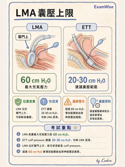 呼吸治療師 - 人工氣道處置 - AI 圖文解析預覽