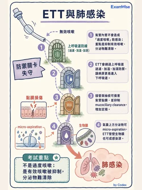 呼吸治療師 - 人工氣道處置 - AI 圖文解析預覽
