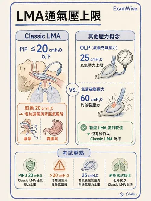 呼吸治療師 - 人工氣道處置 - AI 圖文解析預覽