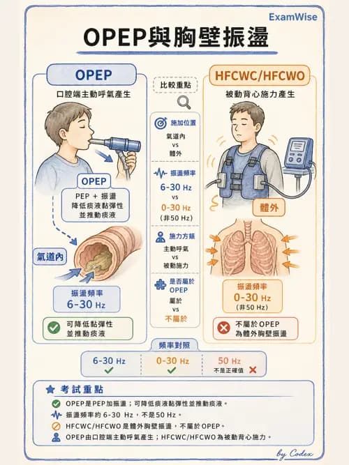 呼吸治療師 - 痰液清除與擴張治療 - AI 圖文解析預覽