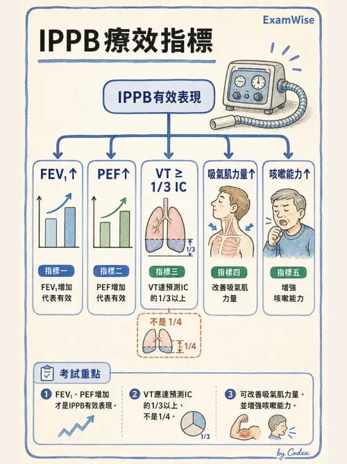 呼吸治療師 - 痰液清除與擴張治療 - AI 圖文解析預覽