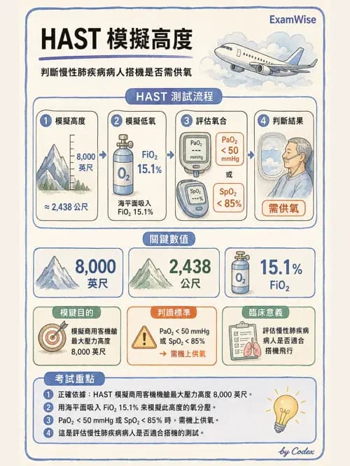 呼吸治療師 - 長期呼吸照護 - AI 圖文解析預覽