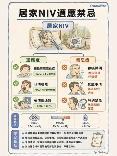呼吸治療師 - 長期呼吸照護 - AI 圖文解析預覽