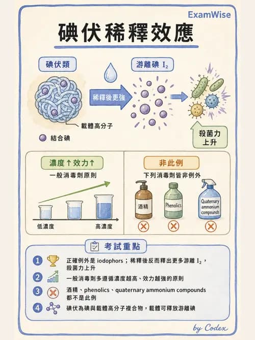 呼吸治療師 - 感染管制與職業安全 - AI 圖文解析預覽